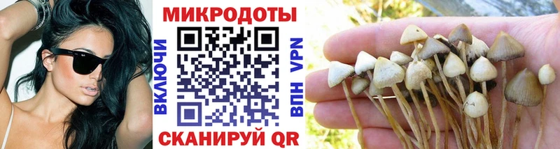 darknet формула  hydra ONION  Городец  Галлюциногенные грибы Psilocybine cubensis 